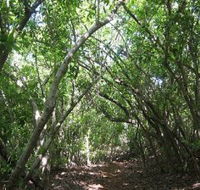 Eucalypt Trail - Getaway Accommodation