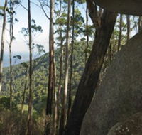 Gulaga National Park - Getaway Accommodation