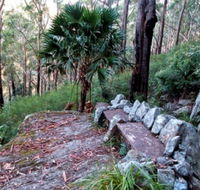 Wodi Wodi Walking Track - Getaway Accommodation