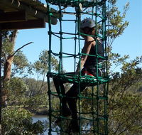 Trees Adventure Shoalhaven - Getaway Accommodation