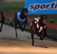 Dapto Dogs - Getaway Accommodation