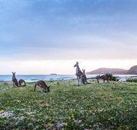 Pebbly Beach - Getaway Accommodation