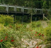 Eurobodalla Botanic Gardens - Getaway Accommodation
