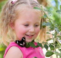 Coffs Harbour Butterfly House - Getaway Accommodation