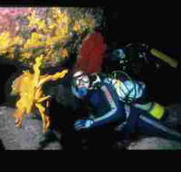 Solitary Islands Marine Park - Getaway Accommodation