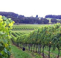 Banjo's Run Winery and Vineyard - Getaway Accommodation