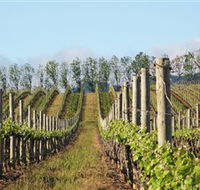 Philip Shaw Wines - Getaway Accommodation