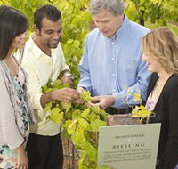 Jacob's Creek Vineyard Tour - Getaway Accommodation