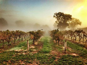 Lambert Estate Wines - Getaway Accommodation 1