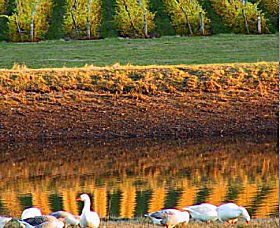 Pipers Brook Vineyard - Getaway Accommodation 0