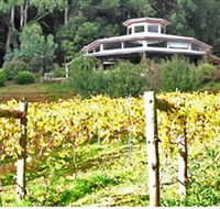Peveril Vineyard/Beechy Berries - Getaway Accommodation