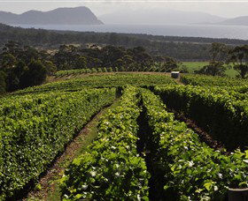 Bream Creek TAS Getaway Accommodation