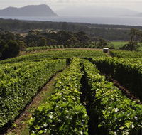 Bream Creek Vineyard - Getaway Accommodation