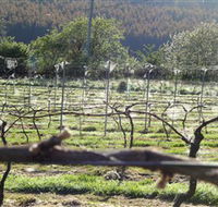 Three Willows Vineyard - Getaway Accommodation