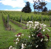 Pembroke Estate Vineyard - Getaway Accommodation
