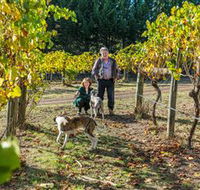 Little River Wines of Taggerty - Getaway Accommodation