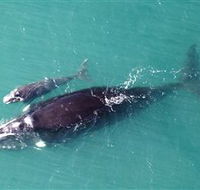 Fazshot Photography - Getaway Accommodation