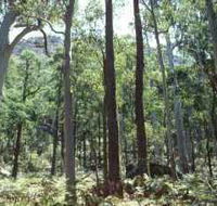 Cathedral Range State Park - Getaway Accommodation