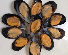 Advance Mussel Supply - Getaway Accommodation 3