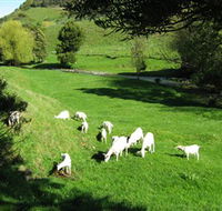 Karmic Goat Soapworks - Getaway Accommodation