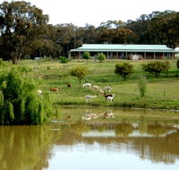 Clearview Alpacas - Getaway Accommodation