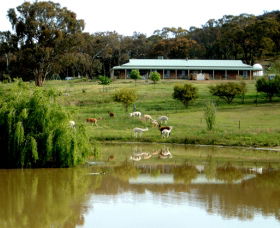 Clearview Alpacas - Getaway Accommodation 0