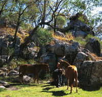 Coomba Falls - Getaway Accommodation