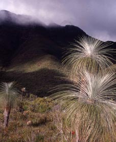 Bluff Knoll, Stirling Range National Park - Getaway Accommodation 3