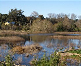 Coolart Wetlands And Homestead - Getaway Accommodation 0