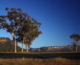 Capertee Valley Bird Trail - Getaway Accommodation 0