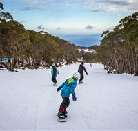 Mt Baw Baw Alpine Resort - Getaway Accommodation