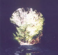 Glow Worm Tunnel - Getaway Accommodation