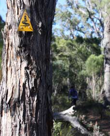 Mount Dale Walk Trail - Getaway Accommodation 1