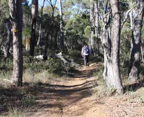 Mount Dale Walk Trail - Getaway Accommodation 2
