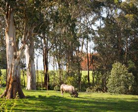 Ungulla Country Garden - Getaway Accommodation 8