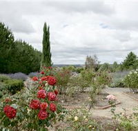 Crystal Brook Lavender Farm - Getaway Accommodation