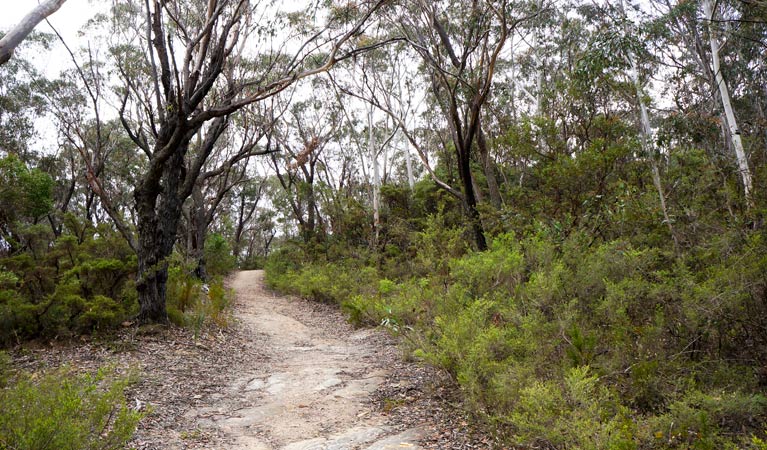 Ganbenang NSW Getaway Accommodation