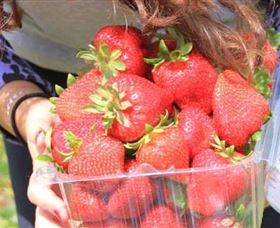 Mia Cucina Walking Food Tours - Getaway Accommodation 5