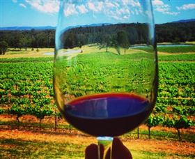 One Day Hunter Valley Day Tours And East Coast Adventures - Zepher Tours - Getaway Accommodation 4