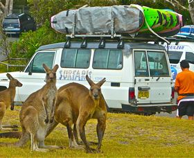 Surfaris Surf Camp - Getaway Accommodation 3