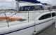 Top Cat Cruises - thumb 0