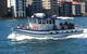 Deep Sea Fishing Charter - thumb 2