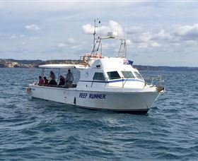 Deep Sea Fishing Charter - Getaway Accommodation 3