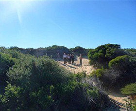 Dingo Tours - Getaway Accommodation 7