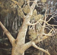 Ku-Ring-Gai Art Centre  Gallery - Getaway Accommodation