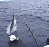 Amokura Charters - Getaway Accommodation