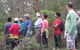 Boronia Tours - thumb 0