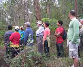 Boronia Tours - Getaway Accommodation 0