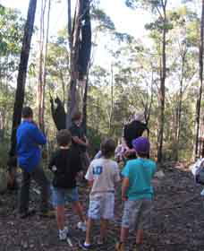 Boronia Tours - Getaway Accommodation 1