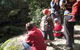 Boronia Tours - thumb 2